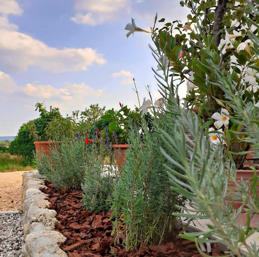 Le Vigne Di Annalisa Sweet Relax Rooms In Unesco Prosecco D.O.C.G. Farra di Soligo Zewnętrze zdjęcie